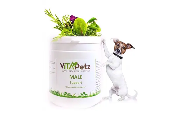 Vitapetz Male Support - Til Hormonelt Betinget Ubalancer
