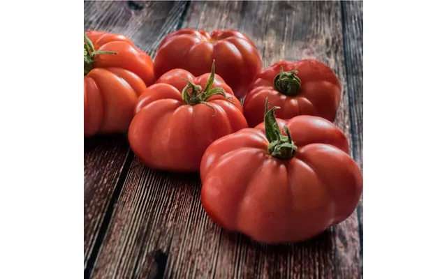 Bøftomat Marmande Vr