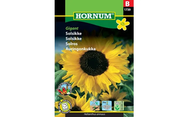 Gigant Solsikke