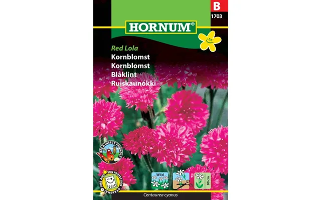 Kornblomst Red Lola