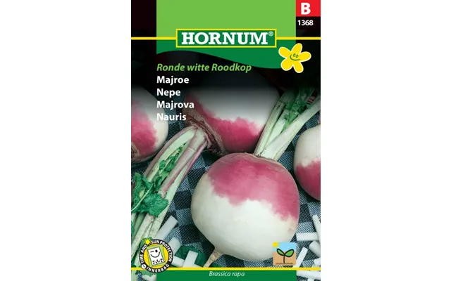 Majroe Ronde Witte Roodkop
