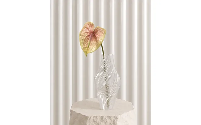 Anthurium - Gul