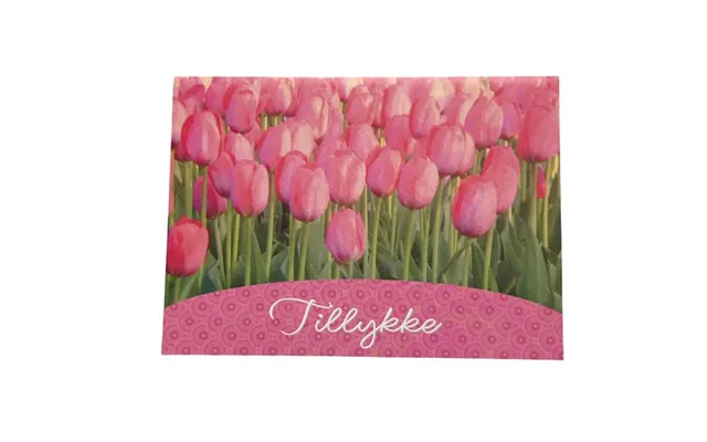 Bc19 Pink Tulipaner