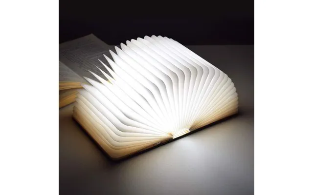 Led - Book Light Medium