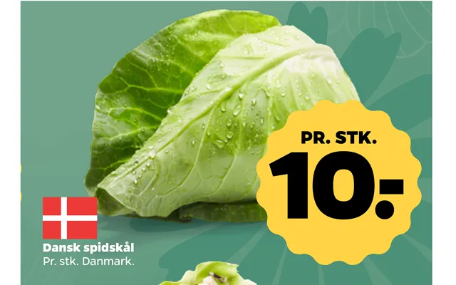 Dansk Spidskål