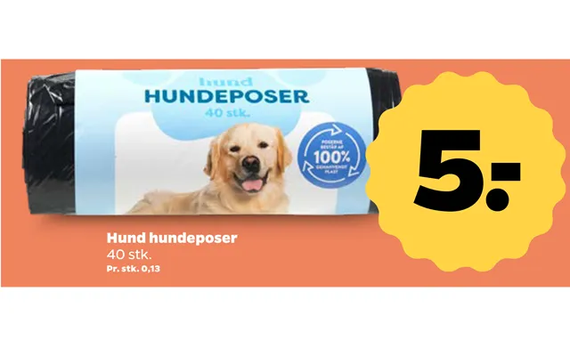 Hund Hundeposer