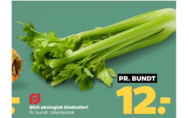 Øgo Økologisk Bladselleri