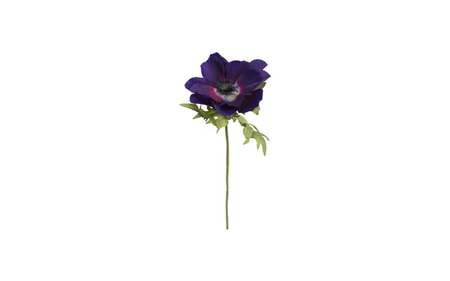 Anemon Snittblomma Lila 43cm
