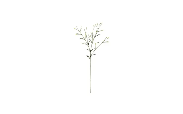 Bærgren Afskåret Blomst Hvid