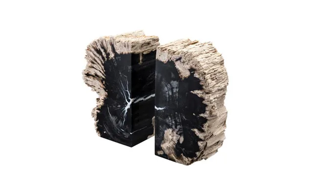 Bookend Petrified Wood