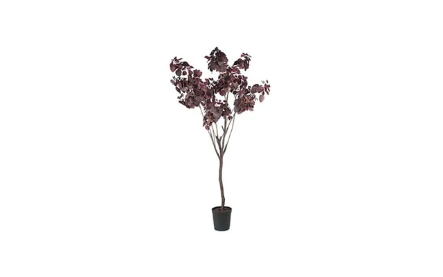 Cotinus Kunsttræ Burgundy