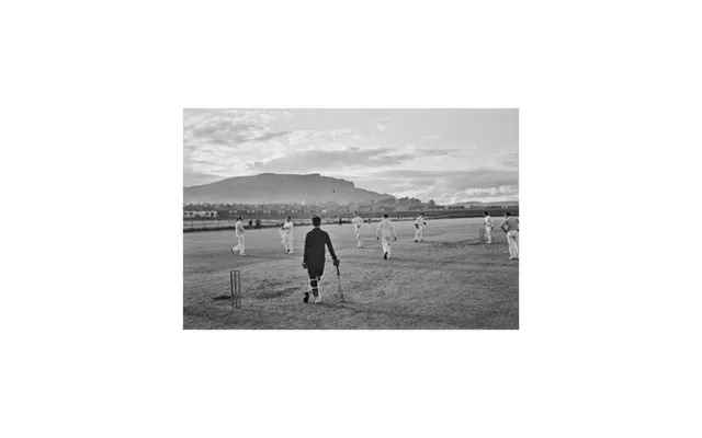 Cricketers On The Pitch