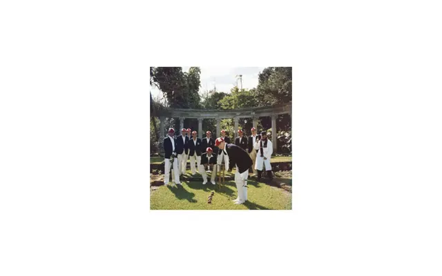 Dapper Cricketers