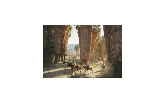 Early Riders