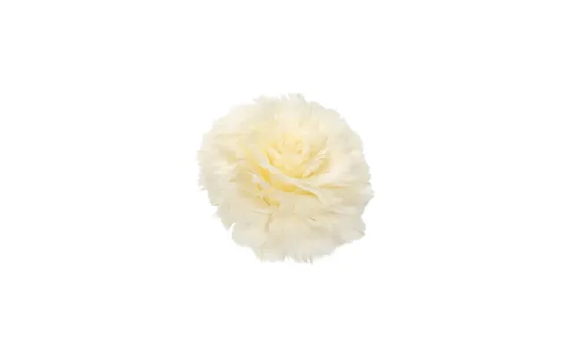 Feather Flower Clips Ivory