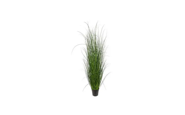 Græs Potteplante Grøn