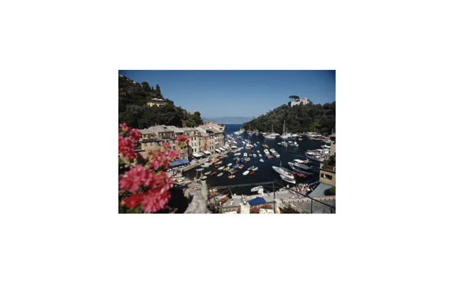 Harbour Area - Portofino