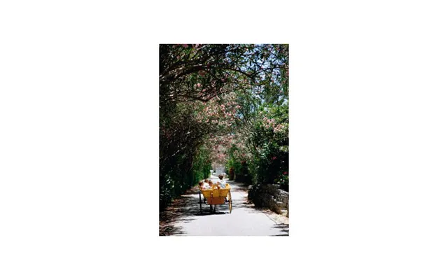 Oleander Drive