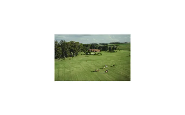 Polo Match