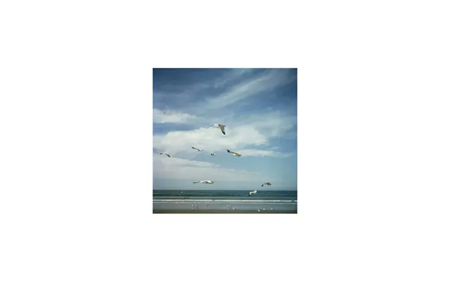 San Diego Gulls