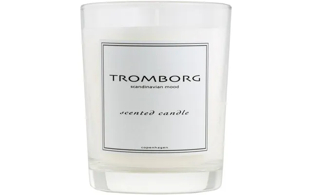 Tromborg Scented Candle - Figuier 180 Ml