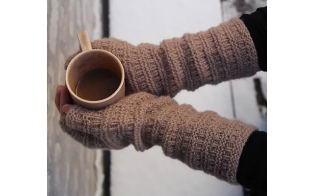 Gloves No. 1