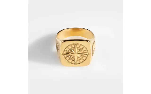 Compass Oversize Signet Ring Guld - Str. 8