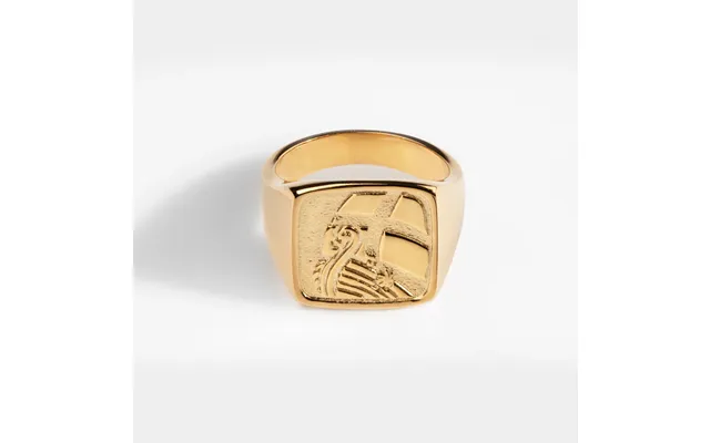 Explorer Oversize Signet Ring Guld - Str. 6
