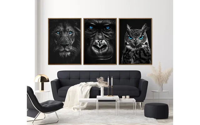 Blue Eyes - Plakatsæt