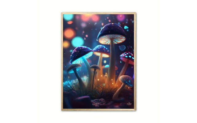 Fortryllet Svampe Plakat Nr. 10 21 X 29,7 Cm A4