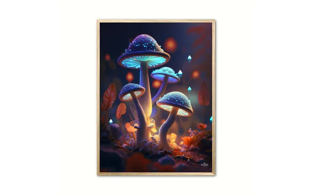 Fortryllet Svampe Plakat Nr. 11 30 X 40 Cm