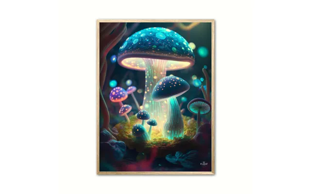 Fortryllet Svampe Plakat Nr. 9 21 X 29,7 Cm A4