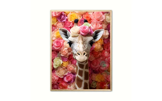 Plakat Med Blomsterfestival Med Giraf - Giraf Plakat 21 30 X 40 Cm