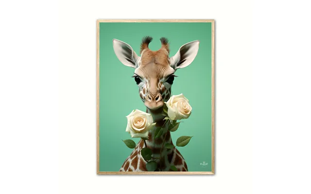Plakat Med Giraffens Blomsterdans - Giraf Plakat 18 21 X 29,7 Cm A4