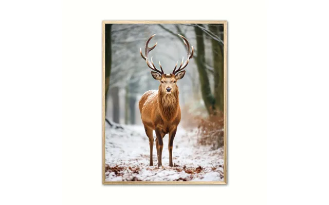 Plakat Med Hjort Plakat 4 50 X 70 Cm B2