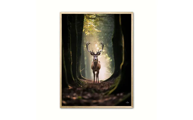 Plakat Med Hjort Plakat 5 30 X 40 Cm