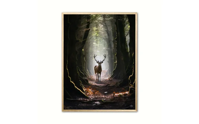 Plakat Med Hjort Plakat 6 21 X 29,7 Cm A4