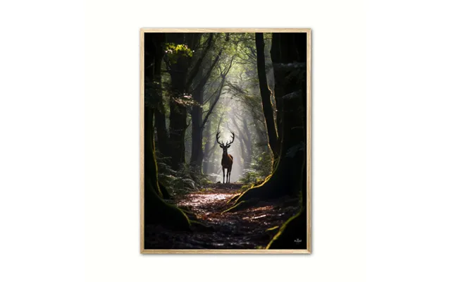 Plakat Med Hjort Plakat 7 21 X 29,7 Cm A4