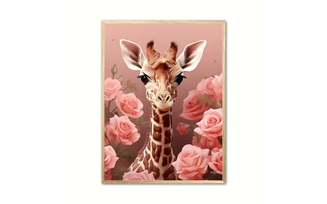Plakat Med Pink Roser I Giraffens Verden - Giraf Plakat 31 30 X 40 Cm