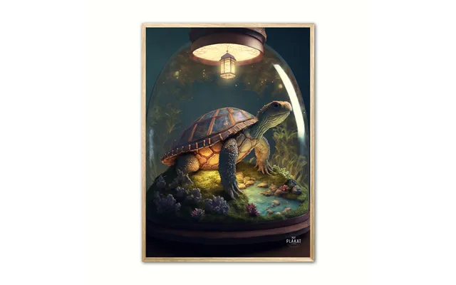 Skildpadde Plakat Nr. 1 21 X 29,7 Cm A4