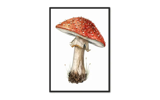Svampe Plakat 13 - Naturplakat 21 X 29,7 Cm A4