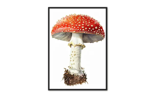 Svampe Plakat 16 - Naturplakat 21 X 29,7 Cm A4