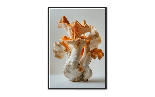 Svampe Plakat 17 - Naturplakat 21 X 29,7 Cm A4
