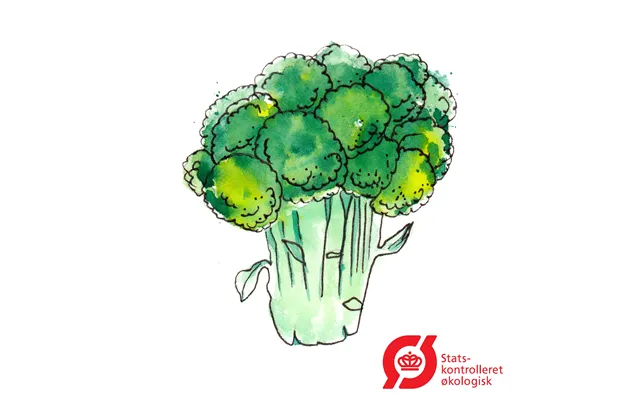 Broccoli 'bobby'- Frø Øko