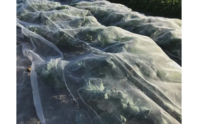 Insektnet Bioplast Pla - 2,1x5m