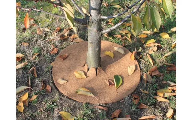 Ukrudtsmåtte 28cm