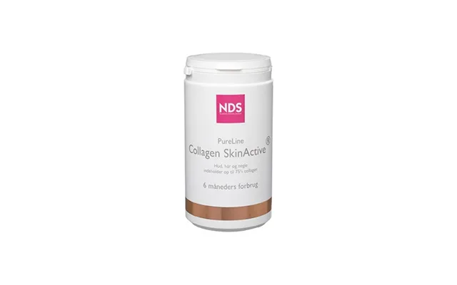 Collagen Skinactive - 450 Gram