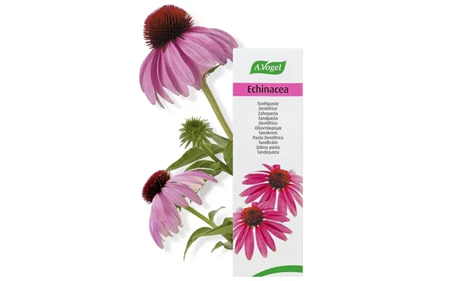 Echinacea Tandpasta - 100 G