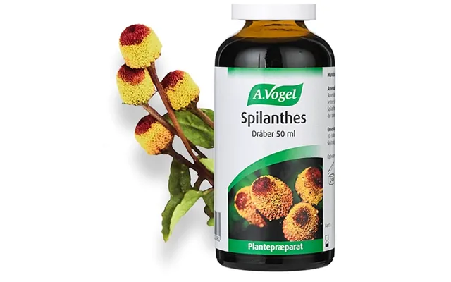 Spilanthes - 50 Ml