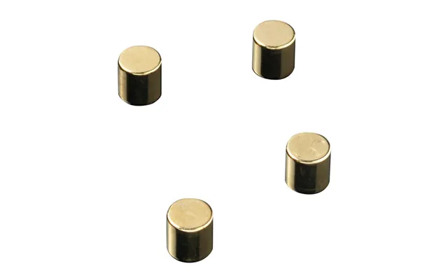 Guld Magnet - Cylinder